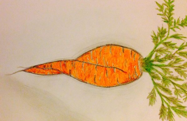 carrot cropped