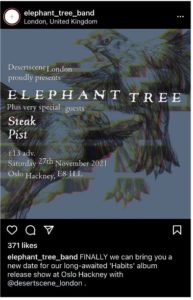 Elephant Tree Instagram