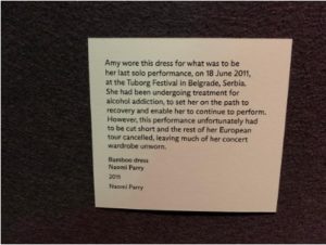 Amy's dress description